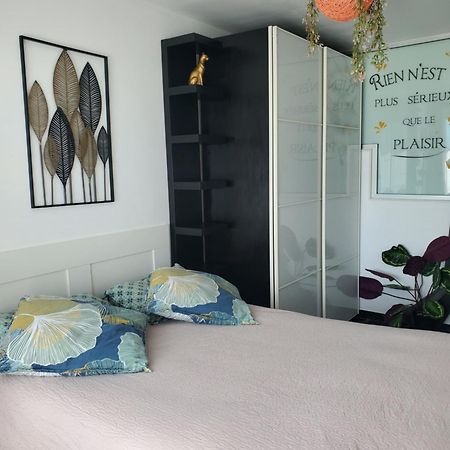 Appartement Cosy Entierement Equipe تولوز المظهر الخارجي الصورة