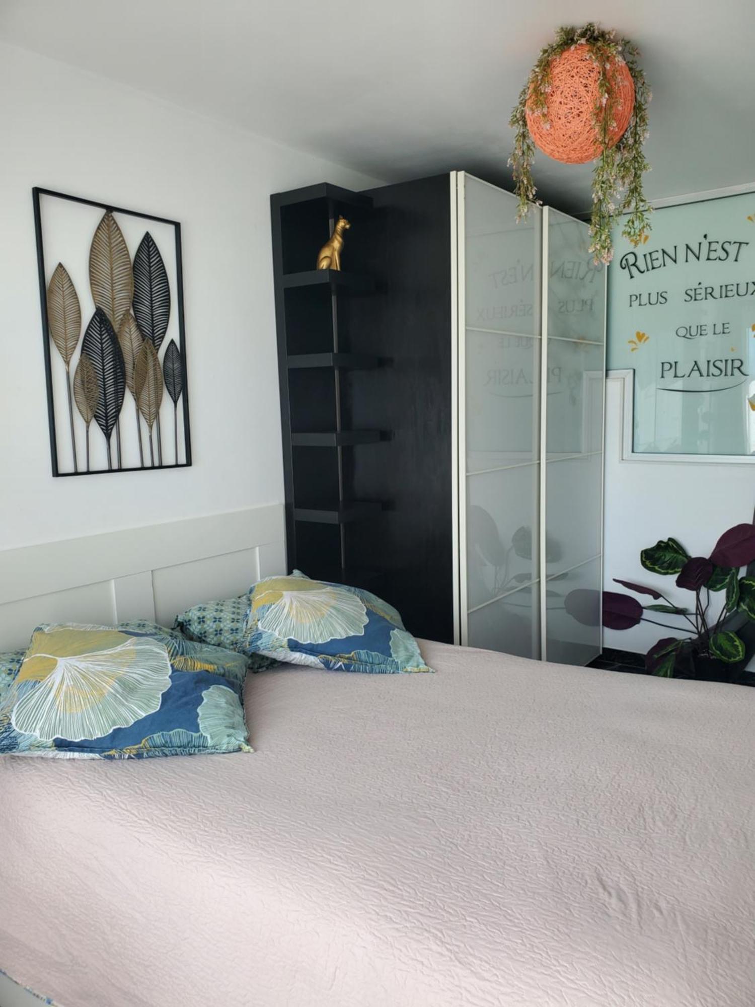Appartement Cosy Entierement Equipe تولوز المظهر الخارجي الصورة