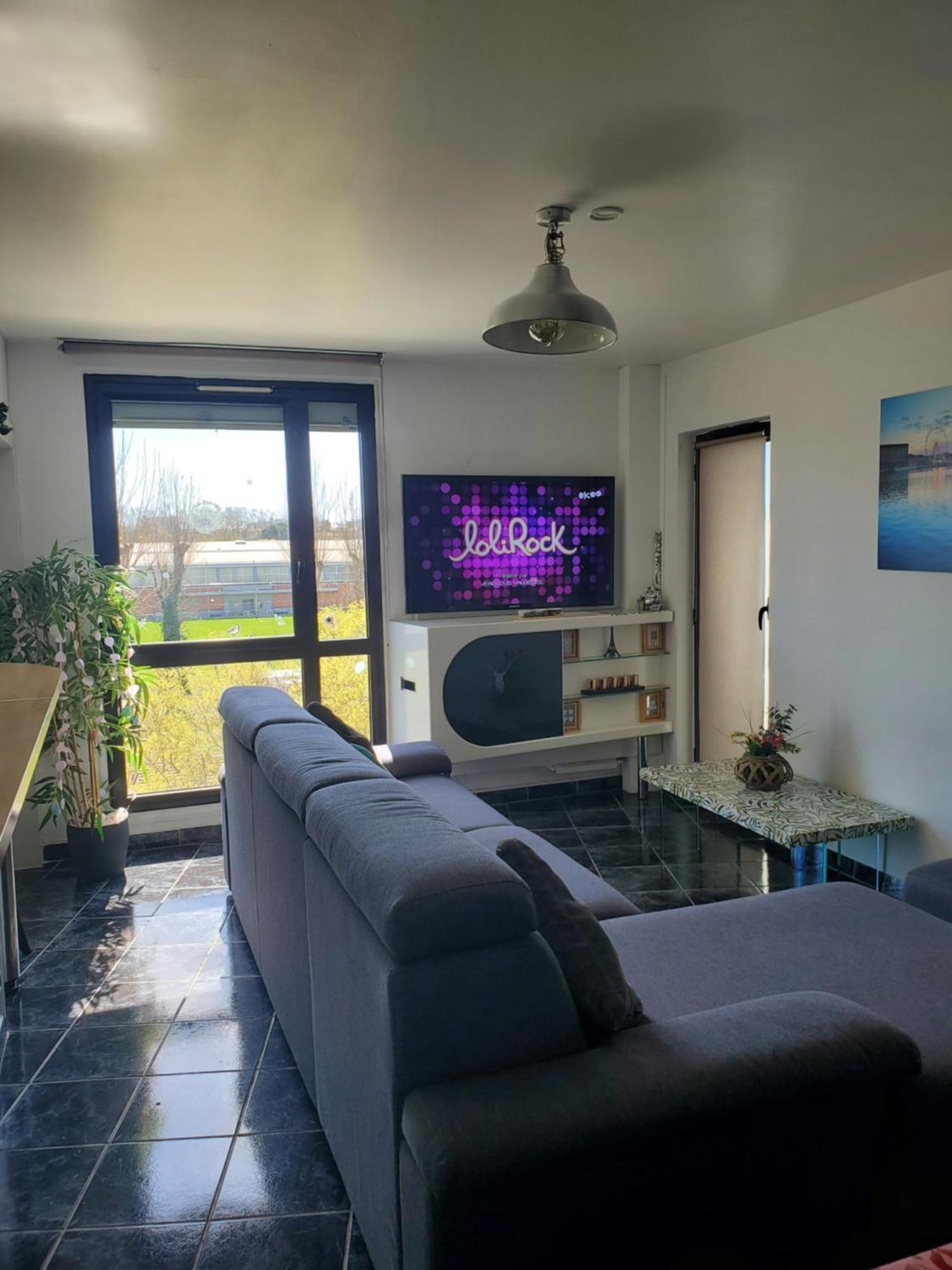 Appartement Cosy Entierement Equipe تولوز المظهر الخارجي الصورة